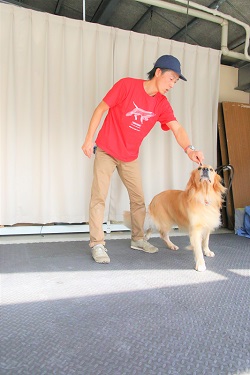 こー君　ダンス