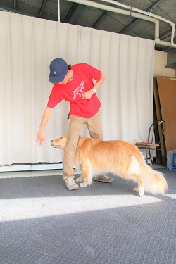 こー君　ダンス