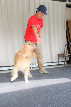 こー君　ダンス