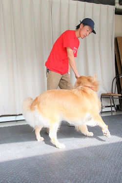 こー君　ダンス