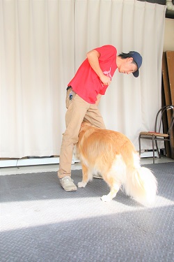 こー君　ダンス