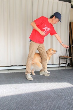 こー君　ダンス