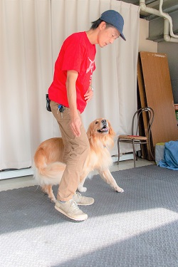 こー君　ダンス