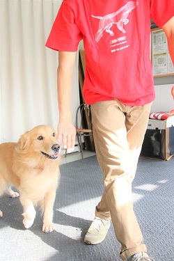 こー君　ダンス