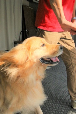 こー君　ダンス