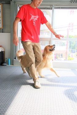 こー君　ダンス