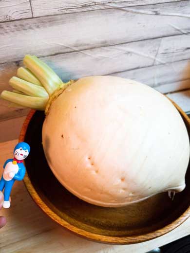 ドラえもん 畑のレストラン 秘密道具 日本誕生 ジャイアン カツ丼 大根 再現