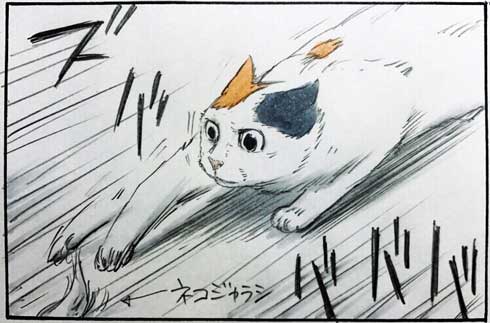 拾い猫のモチャ 猫 あるある 漫画 書籍化 Twitter 家族 お父さん にごたろ