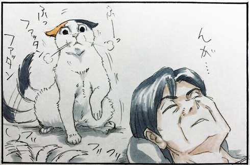 拾い猫のモチャ 猫 あるある 漫画 書籍化 Twitter 家族 お父さん にごたろ