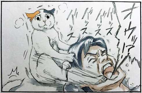 拾い猫のモチャ 猫 あるある 漫画 書籍化 Twitter 家族 お父さん にごたろ