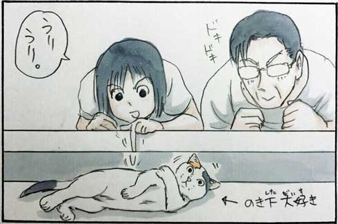 拾い猫のモチャ 猫 あるある 漫画 書籍化 Twitter 家族 お父さん にごたろ