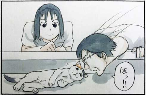 拾い猫のモチャ 猫 あるある 漫画 書籍化 Twitter 家族 お父さん にごたろ