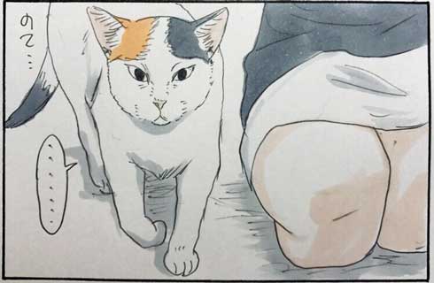 拾い猫のモチャ 猫 あるある 漫画 書籍化 Twitter 家族 お父さん にごたろ
