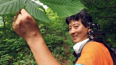横須賀　トンネル　隧道　平沼義之