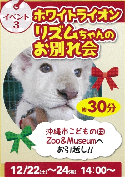 東北サファリ　ホワイトライオン