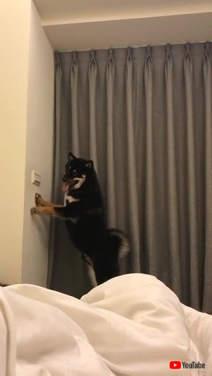 怪奇現象の原因