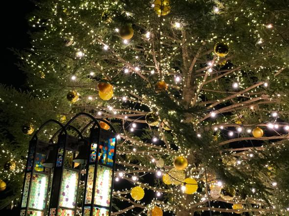 ロ横浜赤レンガ クリスマスマーケット