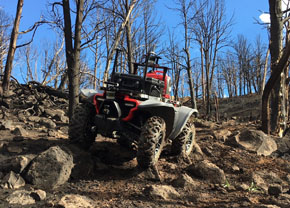 ホンダ CES 自動運転