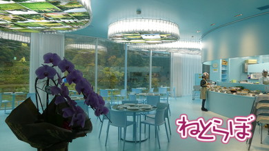 北越急行ほくほく線 乗ってみた 乗り鉄 久野知美 南田裕介