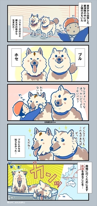 昭和基地とペンギン