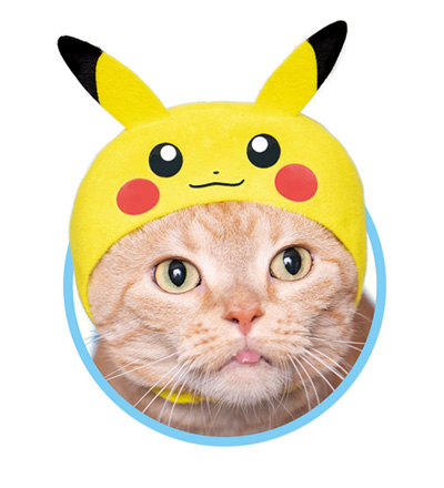 ピカチュウにゃんこ