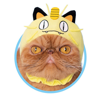 ニャースにゃんこ