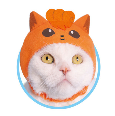 ロコンにゃんこ