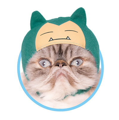 カビゴンにゃんこ