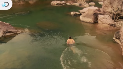 ディスカバリーチャンネル 男気クッキング アライグマ ひどいありさま