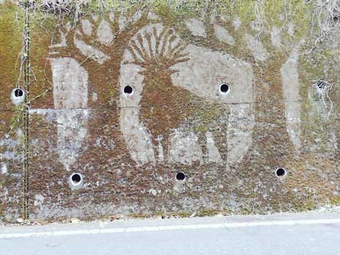 定峰峠 秩父 苔 ジブリ キャラクター アート