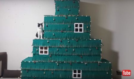  クリスマスツリーと猫ちゃん