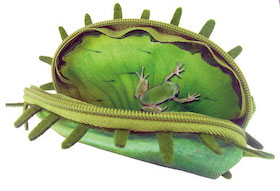 トイカプセル 食虫植物 ポーチ