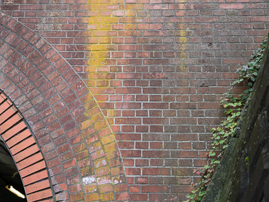 横須賀　トンネル　隧道　汐入　平沼義之　レンガ　坂本隧道　北側　坑門