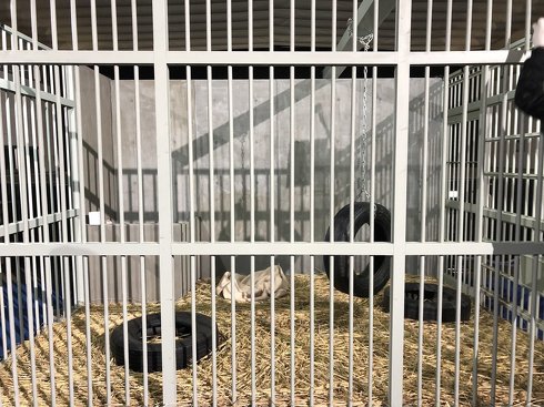 水曜日のダウンタウン