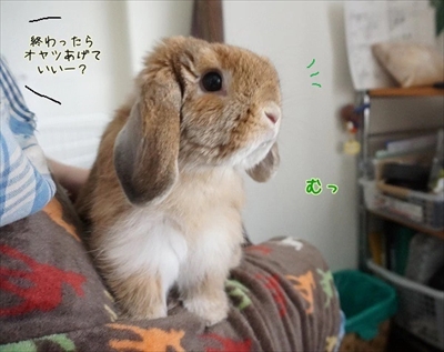 もんじももじじ