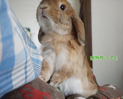 もんじももじじ