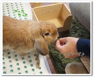 もんじももじじ