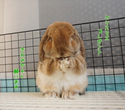 もんじももじじ