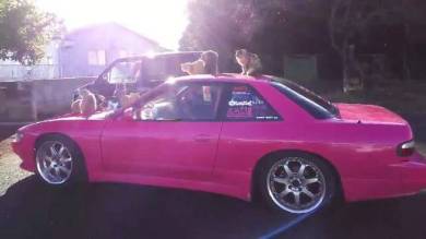 ボンネットにネコいっぱい