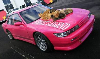 ボンネットにネコいっぱい