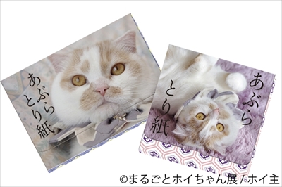 まるごとホイちゃん展