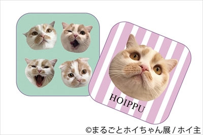 まるごとホイちゃん展