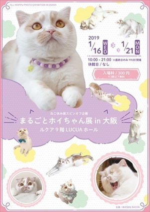 まるごとホイちゃん展