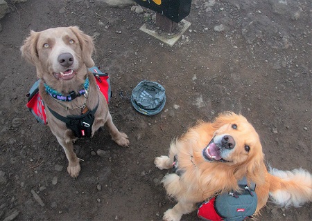 こー君　ススキ