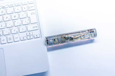 小魚 USBメモリ 煮干し 生物の脳 記憶媒体 ネタ ハンドメイド 販売