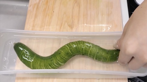 圧倒的不審者の極み 包丁 牛乳