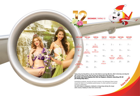 ベトジェット ビキニ カレンダー