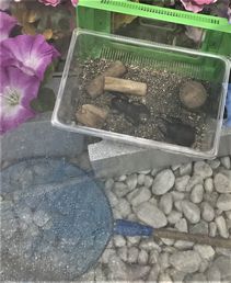 工事現場　仮囲い　ディスプレイ　アート　作品　コーナー　ガテン系アート　麹町