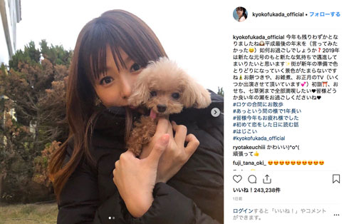 深田恭子 愛犬 年末 癒し