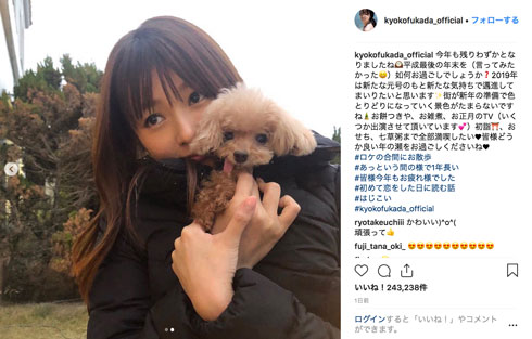 深田恭子 愛犬 年末 癒し